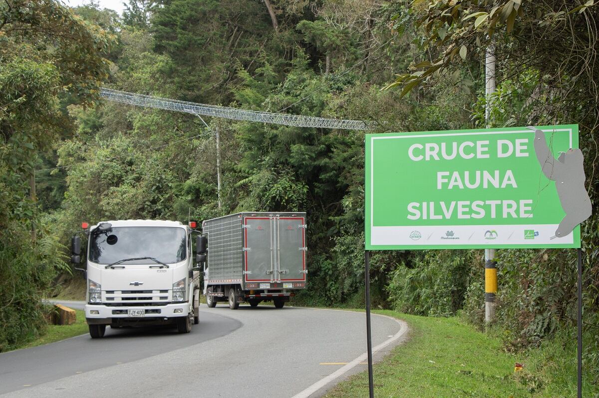 Pasos de fauna silvestre en Antioquia con el fin de evitar atropellamientos. Foto: Cornare.