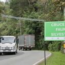 Pasos de fauna silvestre en Antioquia con el fin de evitar atropellamientos. Foto: Cornare.