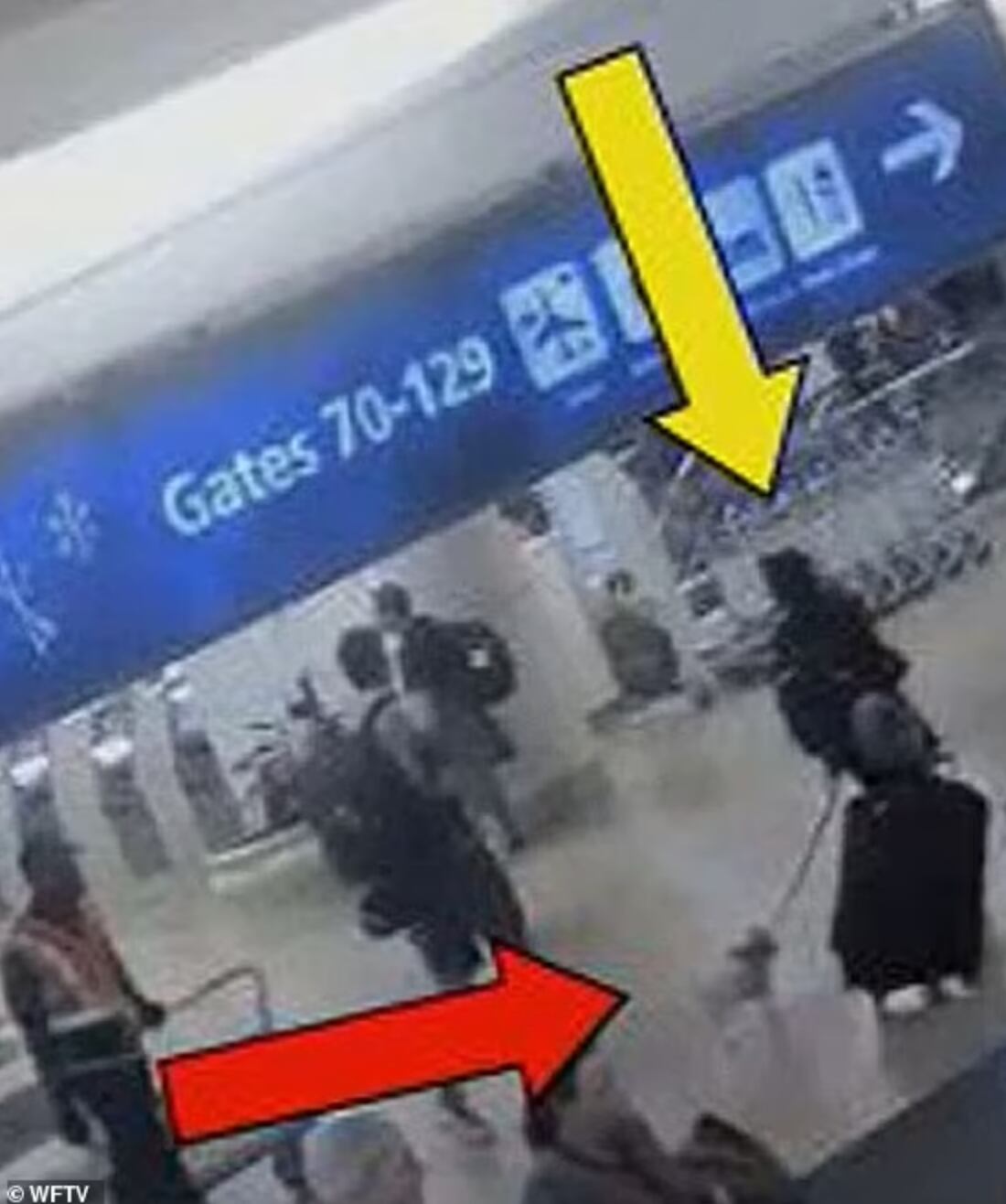 La mujer tomó a su perro y lo ahogó en el baño de mujeres