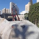 Los caballos rescatados registraban laceraciones en varias partes de su cuerpo y desnutrición. Foto: Policía Nacional.