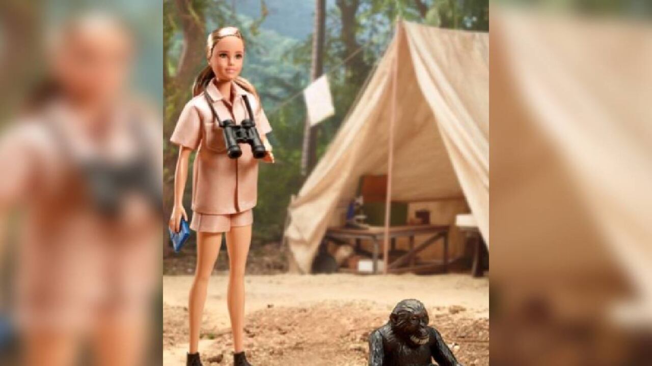 Jane Goodall’s celebró el lanzamiento de la muñeca, fabricada 100% con plástico reciclado de los océanos.