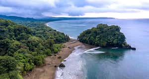 El Instituto de Investigaciones Ambientales del Pacífico fue clave en la creación de un protocolo de restauración de áreas degradadas por la minería en Chocó.