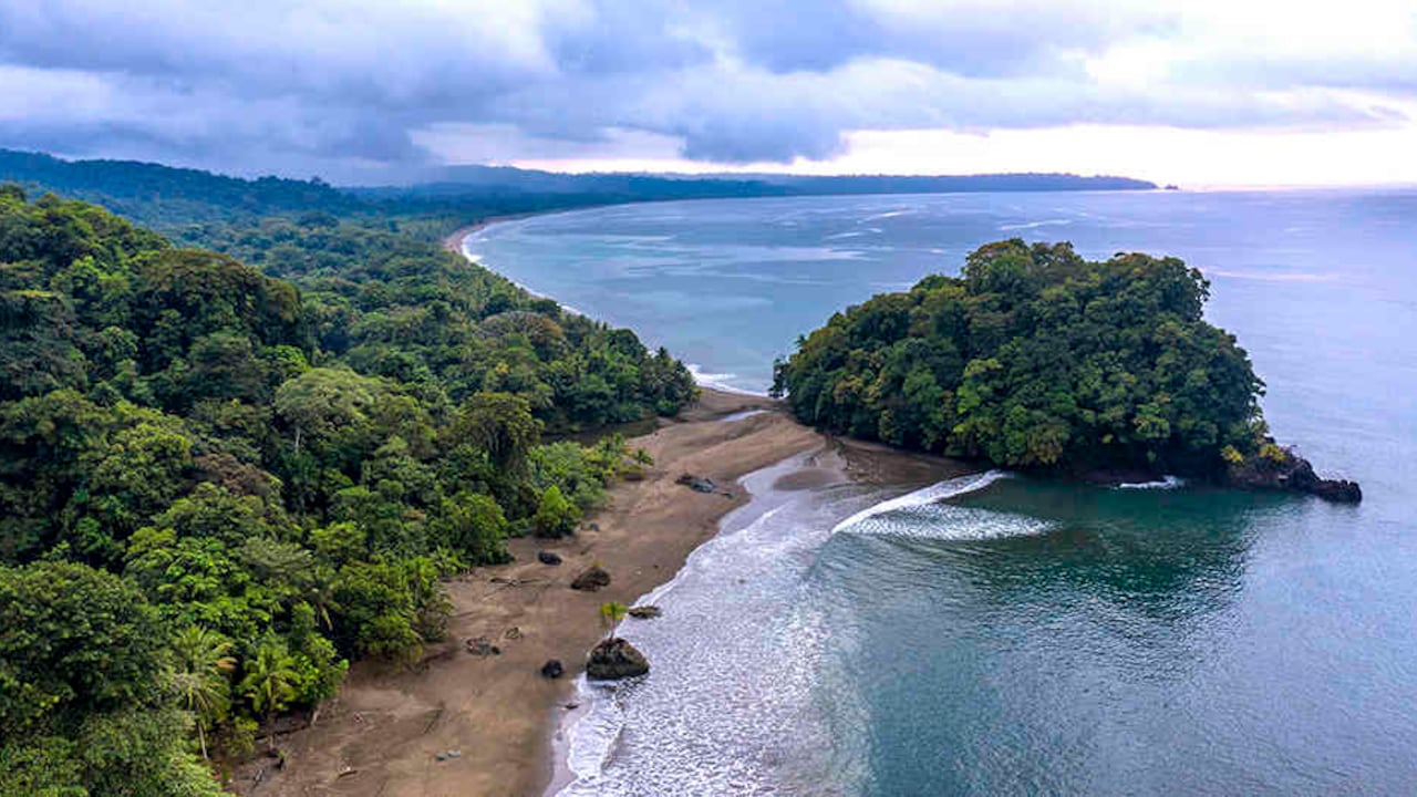 El Instituto de Investigaciones Ambientales del Pacífico fue clave en la creación de un protocolo de restauración de áreas degradadas por la minería en Chocó.