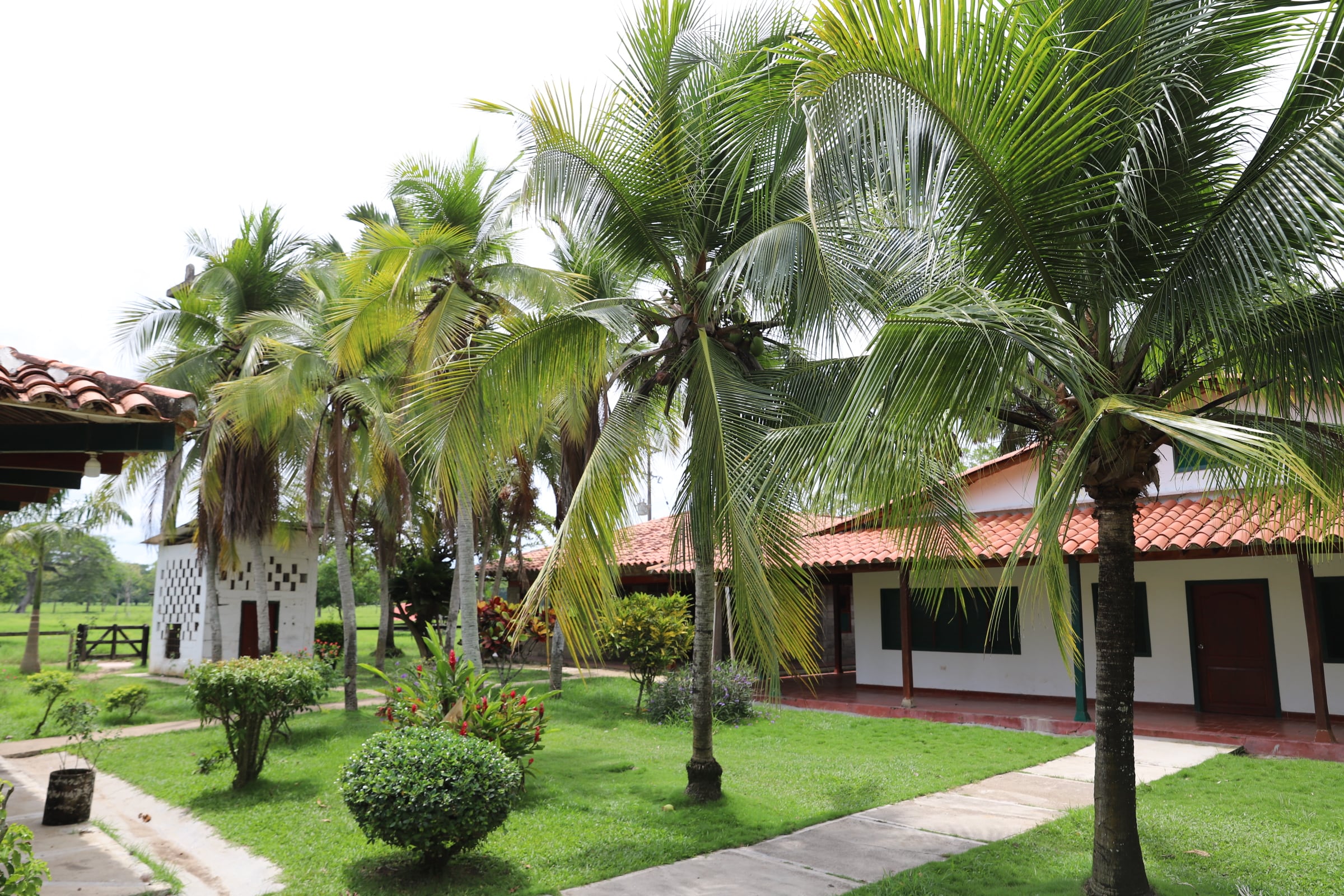 Predios Ciénaga de Oro