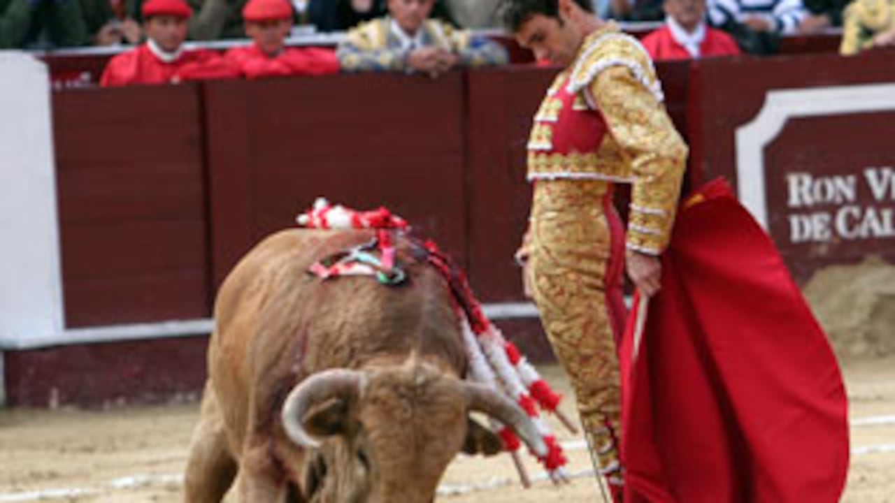 Uno de los varios trincherazos de José Tomás con garbo y arte a uno de los ejemplares de El Paraíso, en el cuarto festejo de la Santamaría. Al final de la corrida salió en medio de las ovaciones del público bogotano.
FOTO: LEÓN DARÍO PELÁEZ / SEMANA