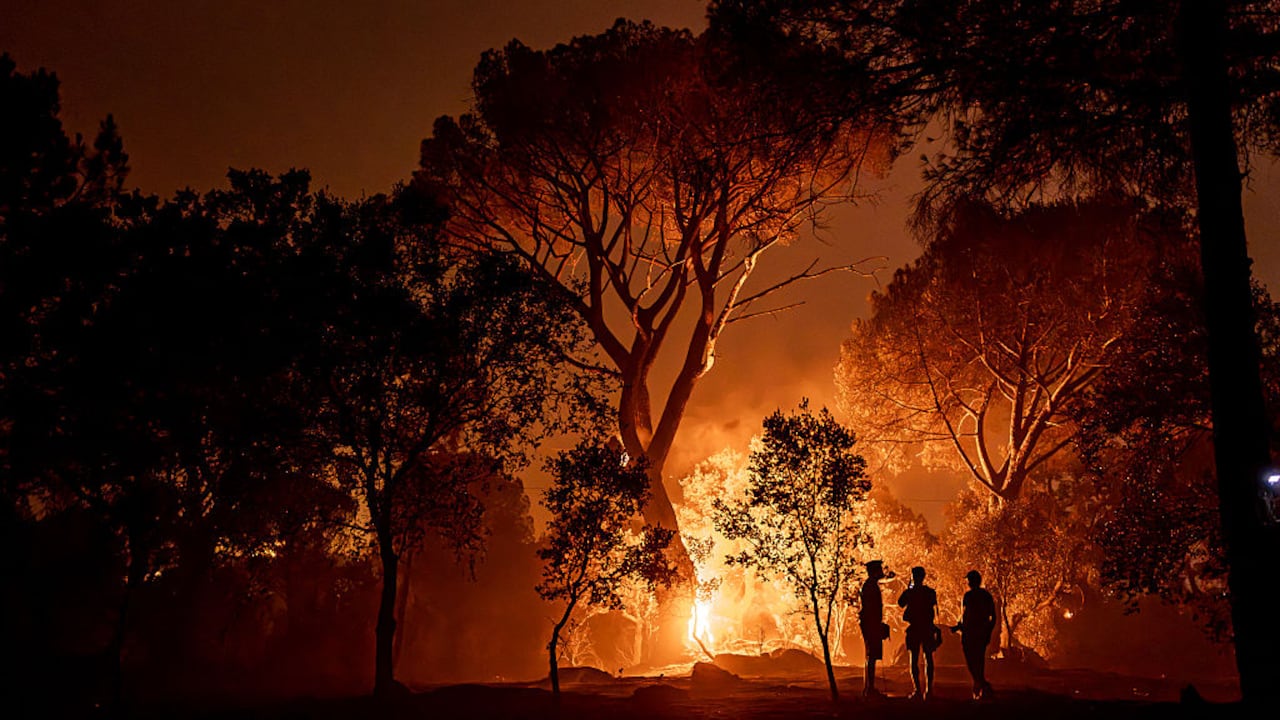 La medida busca mantener conectadas a las comunidades aisladas por los incendios forestales.