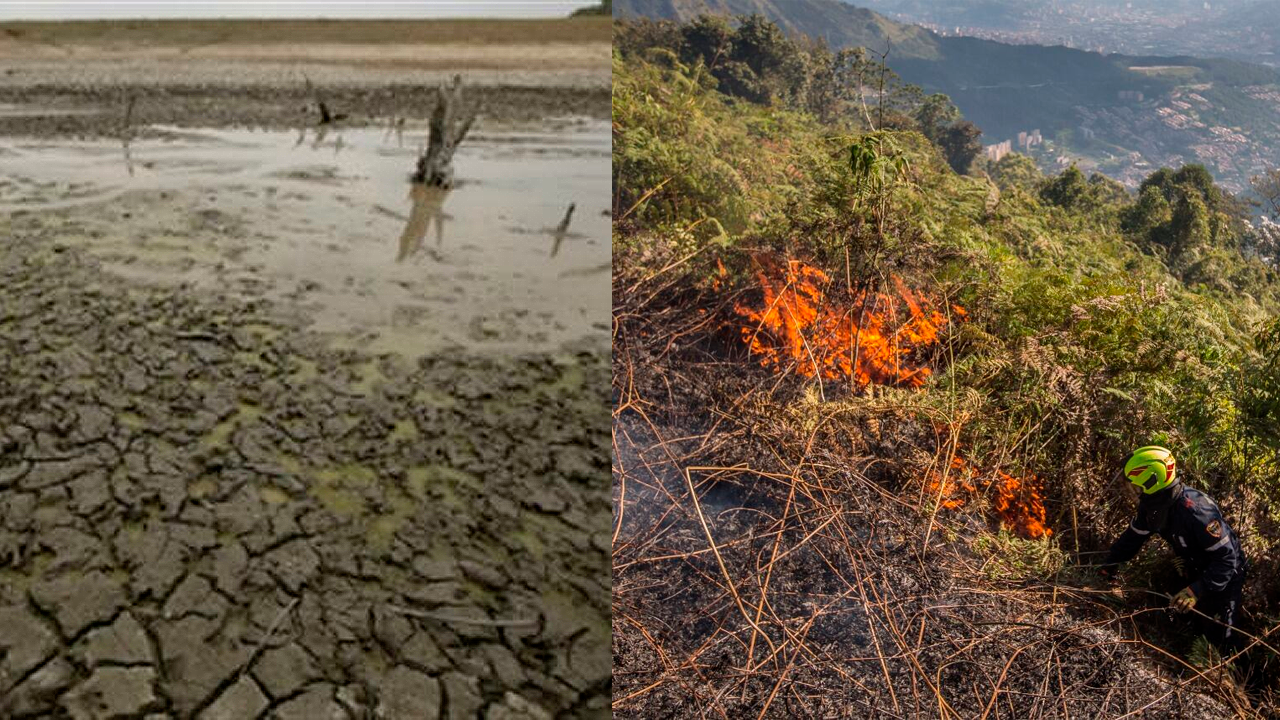 Sequías e incendios forestales son dos de los temas que más preocupan en la región - imagen de referencia
