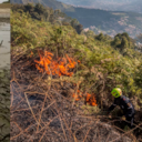 Sequías e incendios forestales son dos de los temas que más preocupan en la región - imagen de referencia