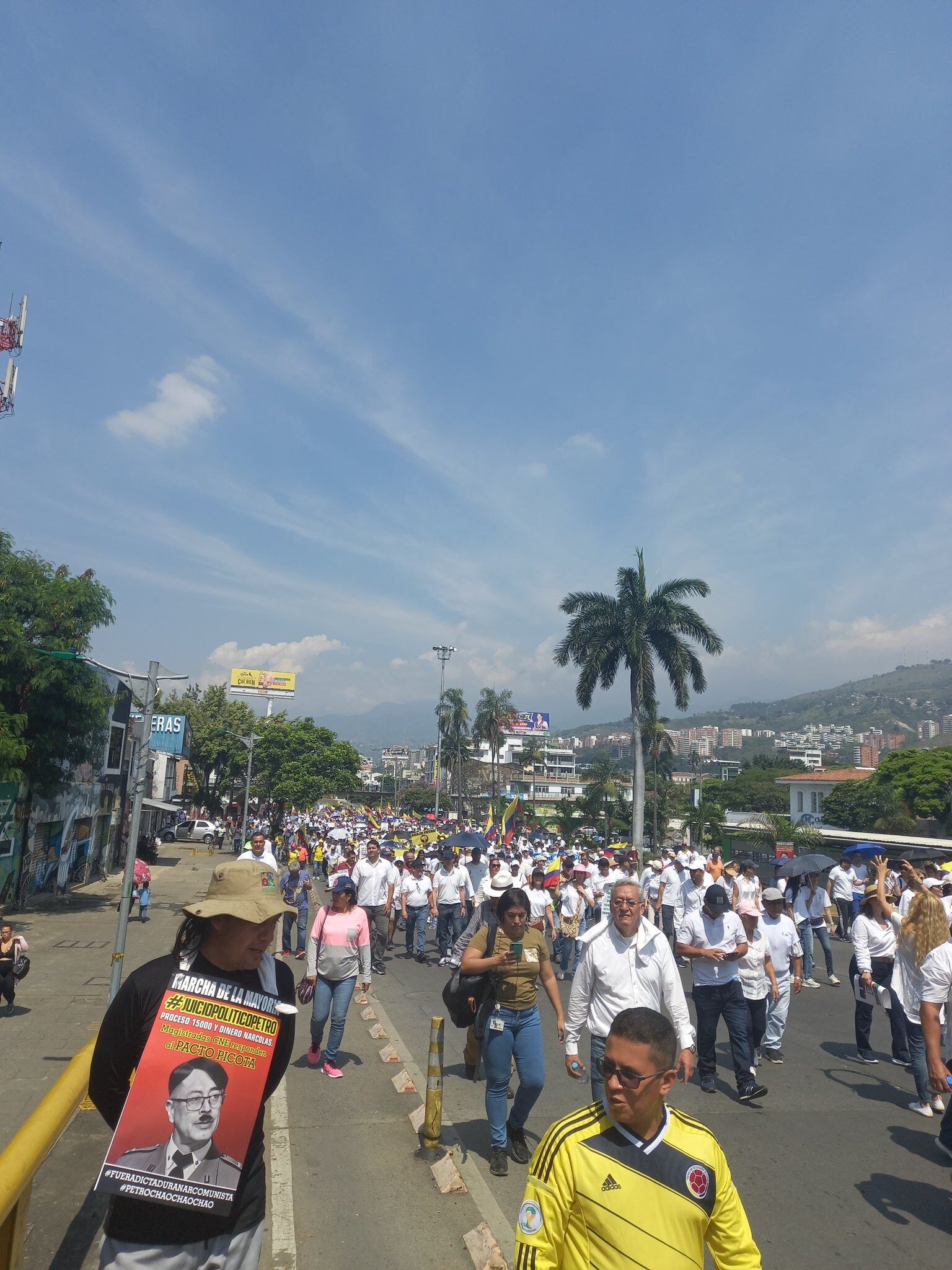 Marcha La Mayoría en Cali