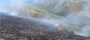 El incendio se presentó al borde de la carretera y se extendió rápidamente por los fuertes vientos en la zona