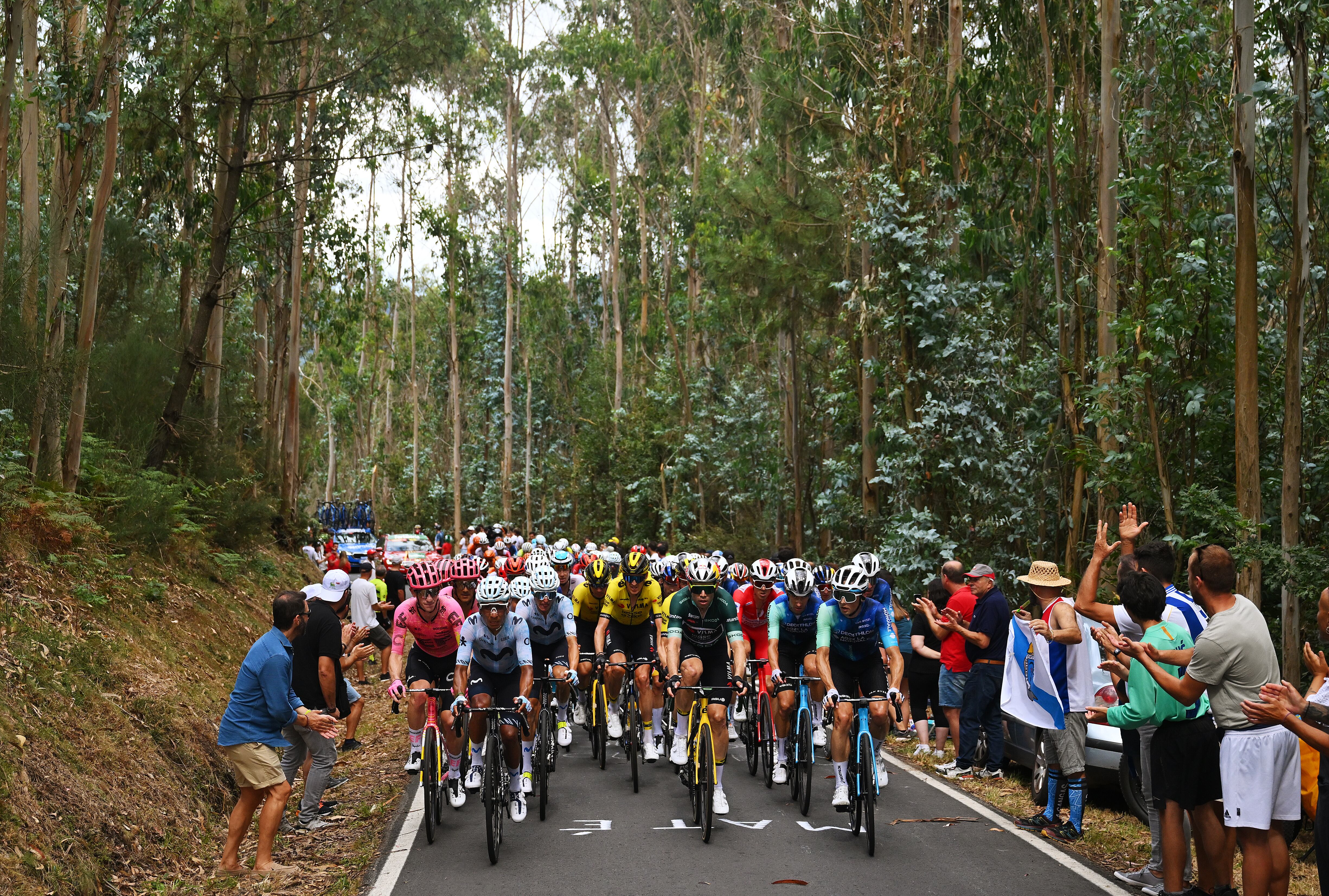 PADRON, SPAIN - AUGUST 28: A general view of Cian Uijtdebroeks of Belgium and Team Visma | Lease a Bike, Harry Sweeny of Australia and Team EF Education - EasyPost, Sepp Kuss of The United States and Team Visma | Lease a Bike, Nairo Quintana of Colombia and Team Movistar, Wout van Aert of Belgium and Team Visma | Lease a Bike - Green Points Jersey, Ben O'Connor of Australia - Red Leader Jersey, Geoffrey Bouchard of France and Victor Lafay of France and Team Decathlon AG2R La Mondiale lead the peloton during the La Vuelta - 79th Tour of Spain 2024, Day 11 a 166.5km stage from Padron to Padron / #UCIWT / on August 28, 2024 in Padron, Spain. (Photo by Dario Belingheri/Getty Images)