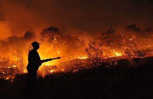 Un bombero rocía el agua en un bosque ardiente cerca de Nea Makri, norte de Atenas, Grecia.