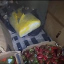 La marihuana estaba oculta entre frutas y verduras