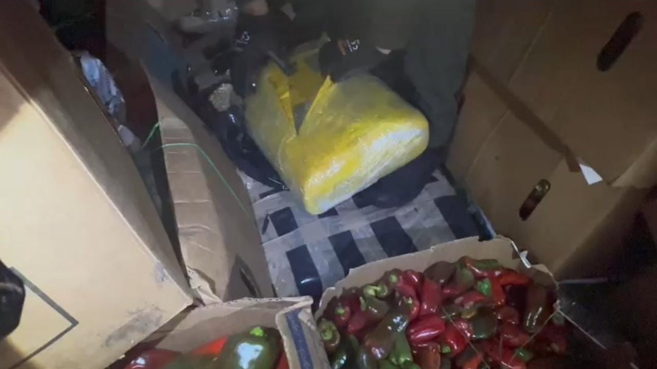 La marihuana estaba oculta entre frutas y verduras