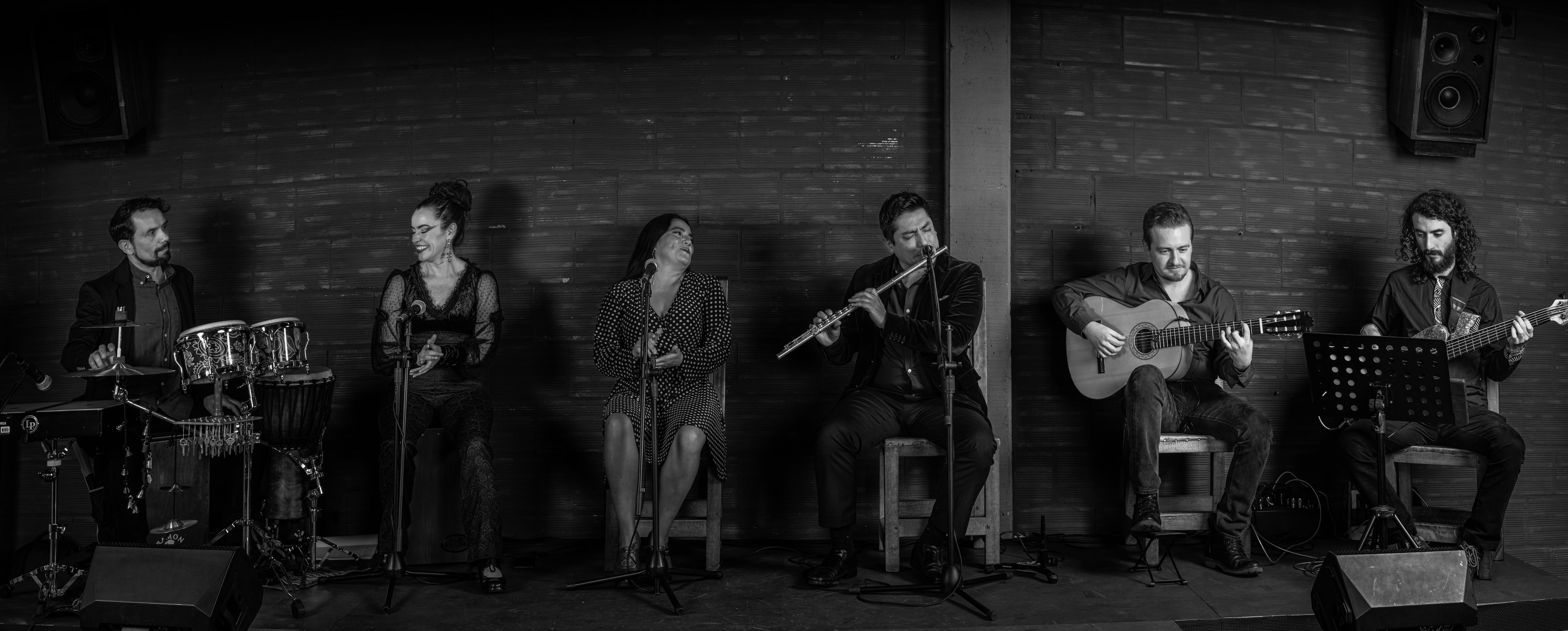 'Tributo a Paco': Una Experiencia Inmersiva