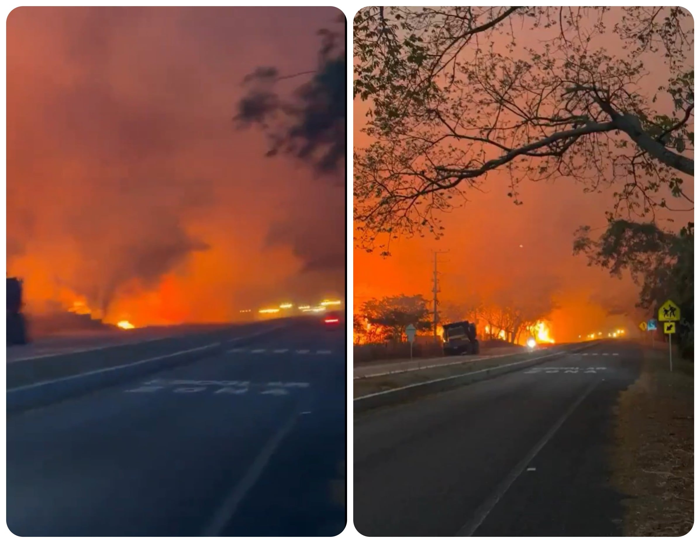 Gobernadora del Tolima pide ayuda nacional para apagar 13 incendios forestales.