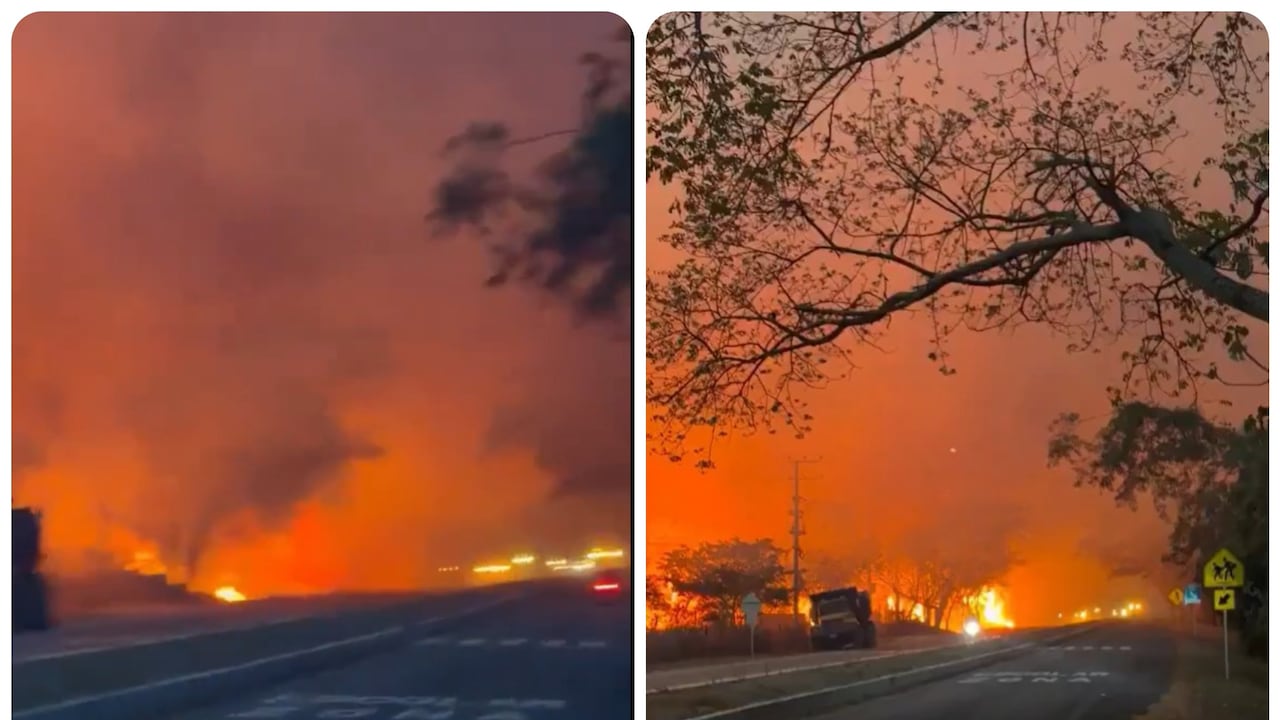 Voraz incendio forestal en el Tolima.