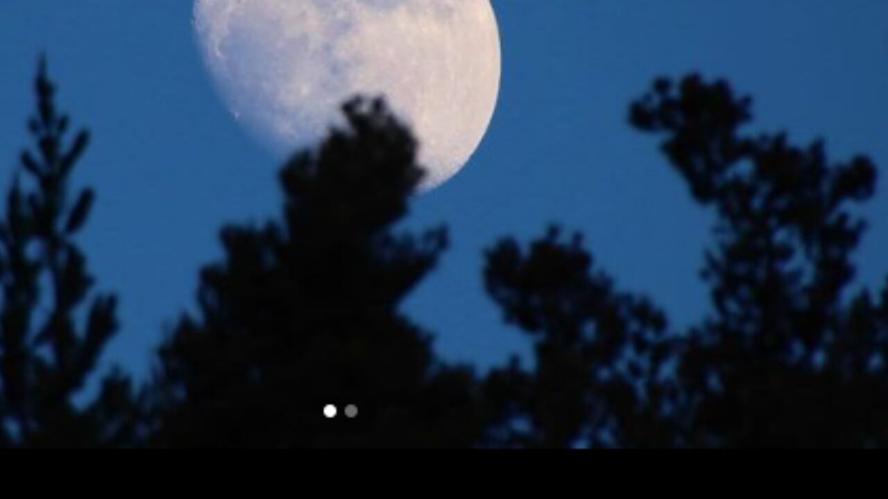 Muchas personas optan por esta opción de trabajo al ser más cómoda, tener mayores recargos y permitir flexibilidad.