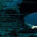 Hacker atacando internet Pagina Semana