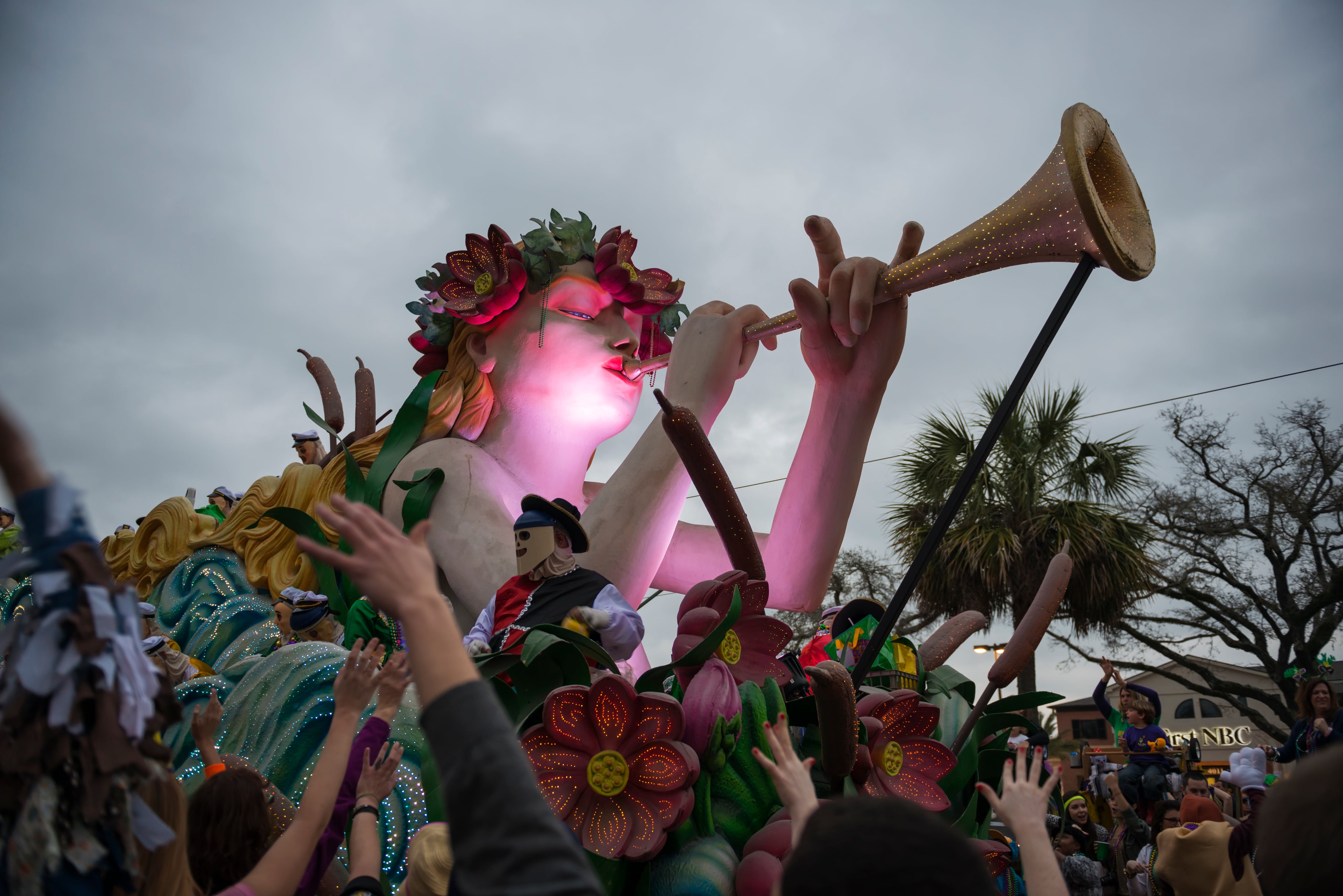 Mardi Gras parade - Krewe of Endymion
