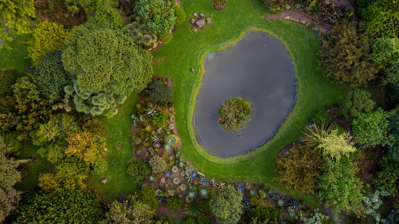 Para captar la vitamina N es imprescindible dinamizar los sentidos en el entorno natural. Los beneficios se reciben cuando se mira, se escucha, se toca y se huele de manera consciente.