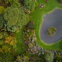 Para captar la vitamina N es imprescindible dinamizar los sentidos en el entorno natural. Los beneficios se reciben cuando se mira, se escucha, se toca y se huele de manera consciente.