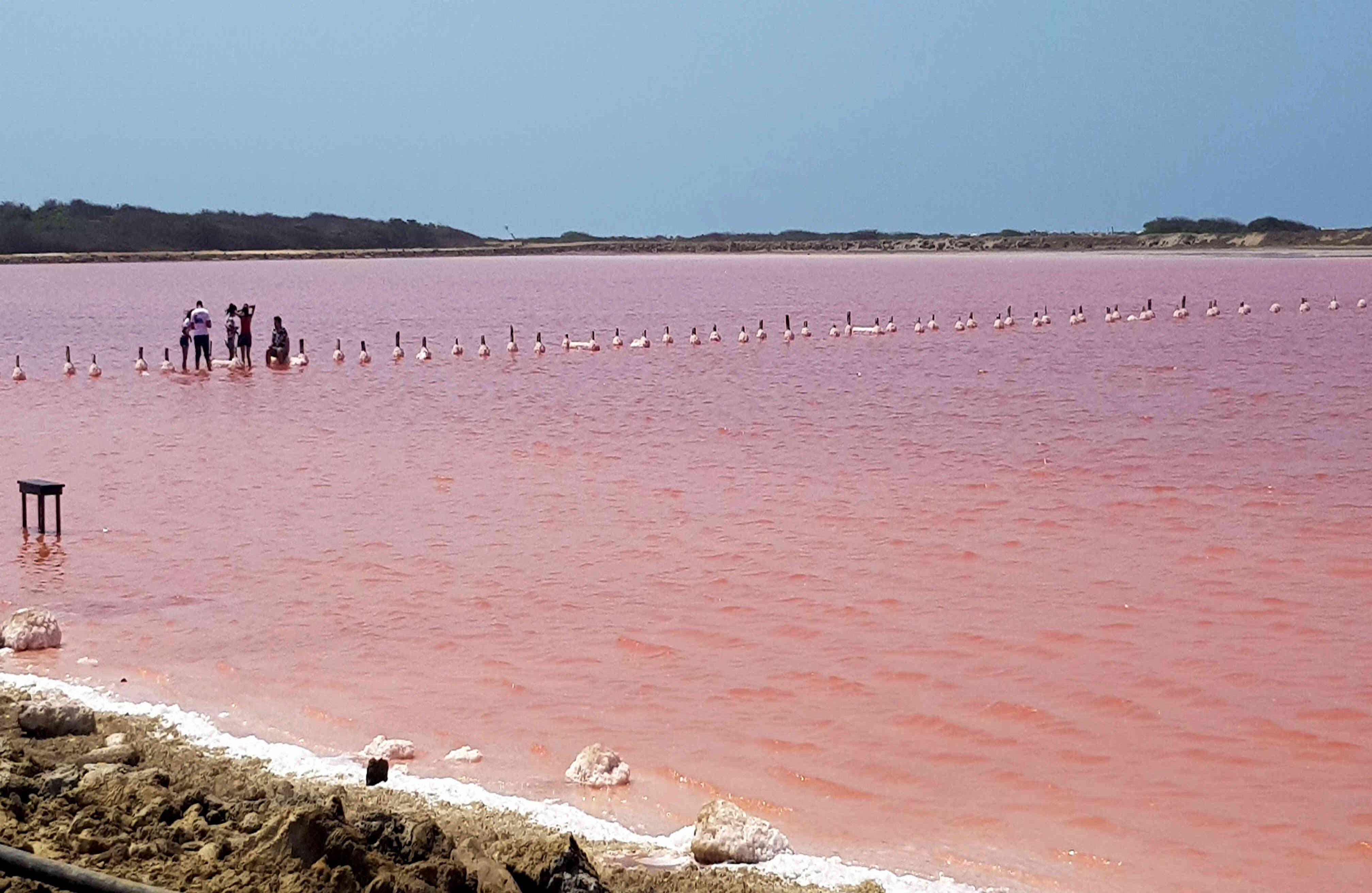 En la última semana se encendió una polémica cuando la presidenta de la ANH, Silvana Habib Daza, dijo a medios locales que los turistas han ingresado a las charcas, lo que pondría en riesgo la calidad de la sal producida allí.