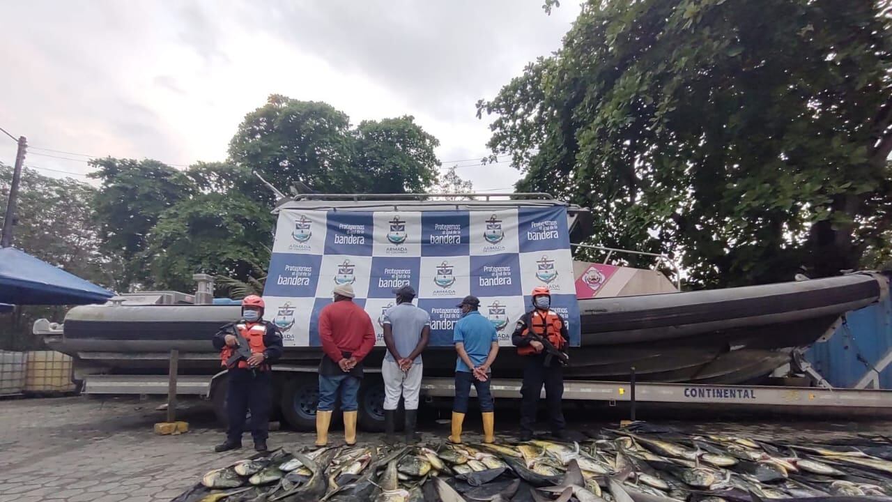 Capitanes de embarcaciones pescaron 15 tiburones y fueron capturados en Tumaco