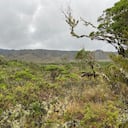 El páramo de Guacheneque, donde nace el río Bogotá, es un ecosistema de aproximadamente 9.000 hectáreas, ubicado en Villapinzón.