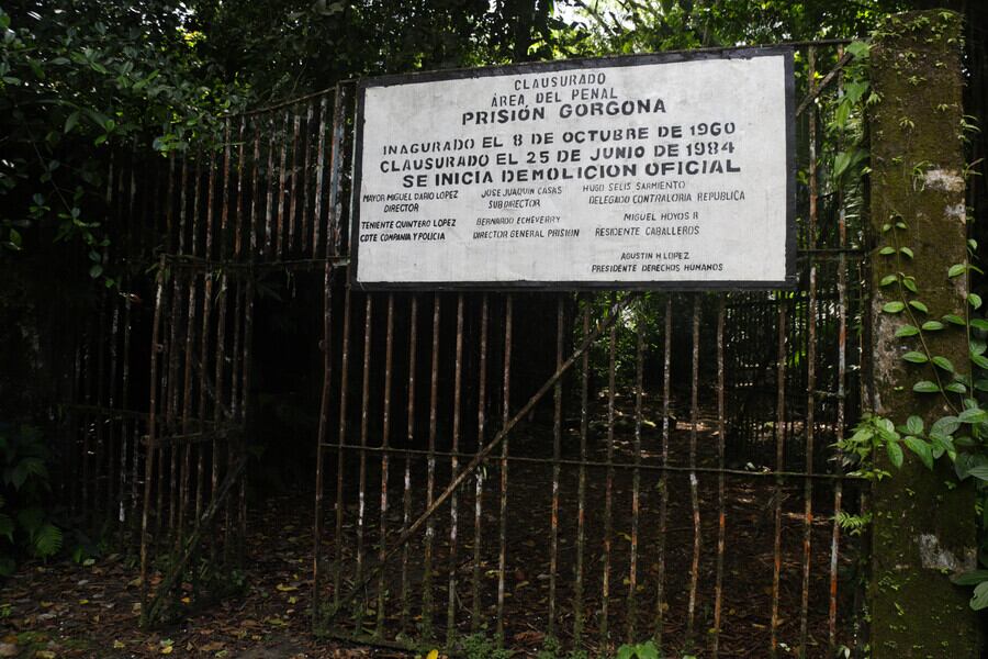 El relieve de la Isla Gorgona es montañoso.  Su punto más alto es el Cerro La Trinidad que con una altura de 338 metros sobre el nivel del mar es la mayor montaña de la isla.