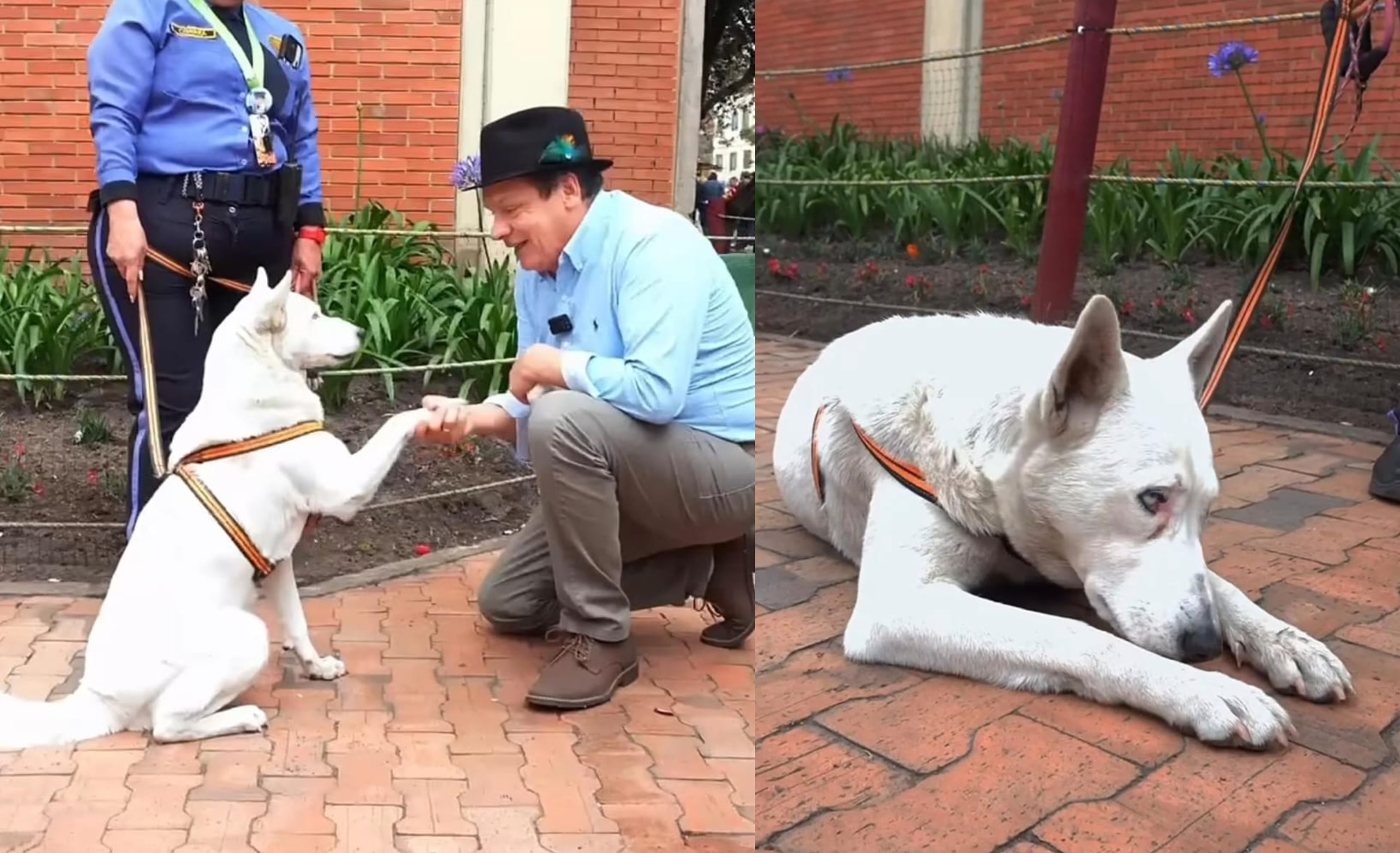 la historia de Kiara en el sur de Bogotá