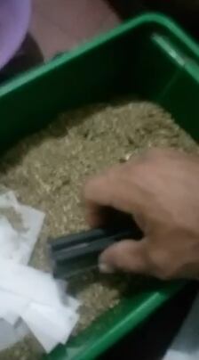 Junior compartió en redes sociales un video donde mostraba la dosificación de la droga.