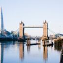 Las aguas del río Támesis en Londres ha vuelto a ser hábitat de especies salvajes, debido al proceso de descontaminación.