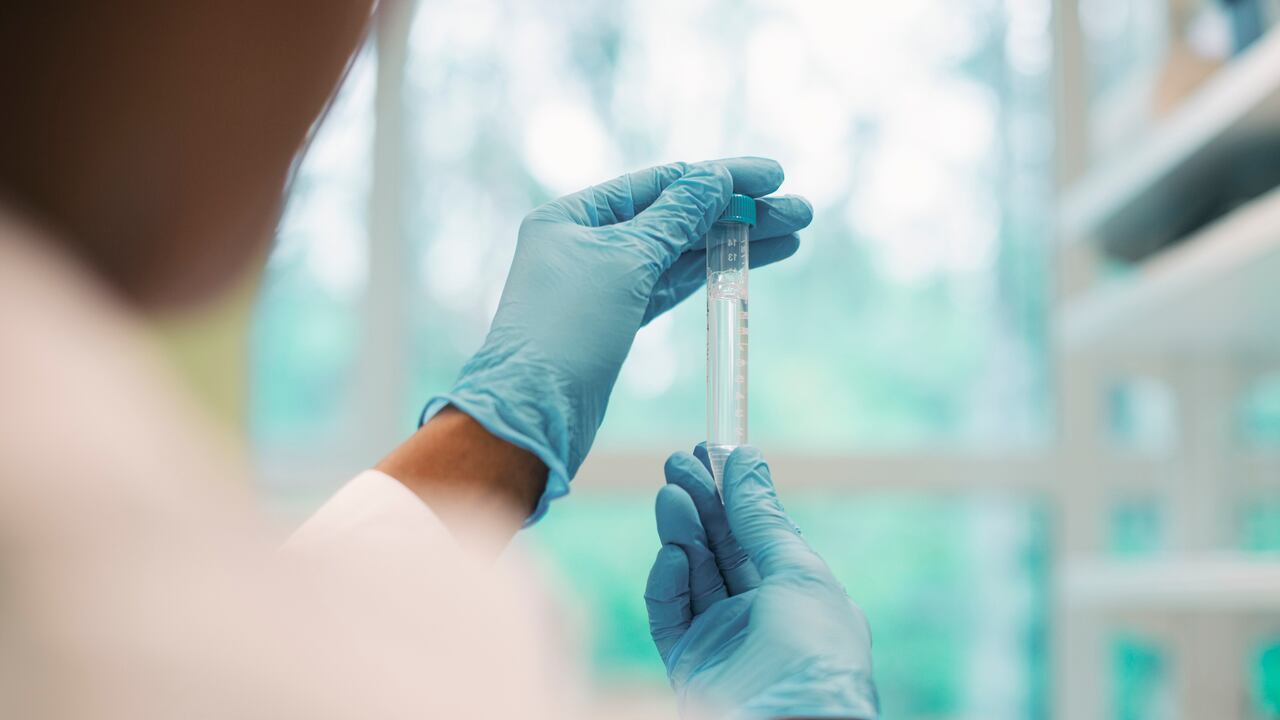 La resolución, que fue recibida por el rector de la universidad Ecci.