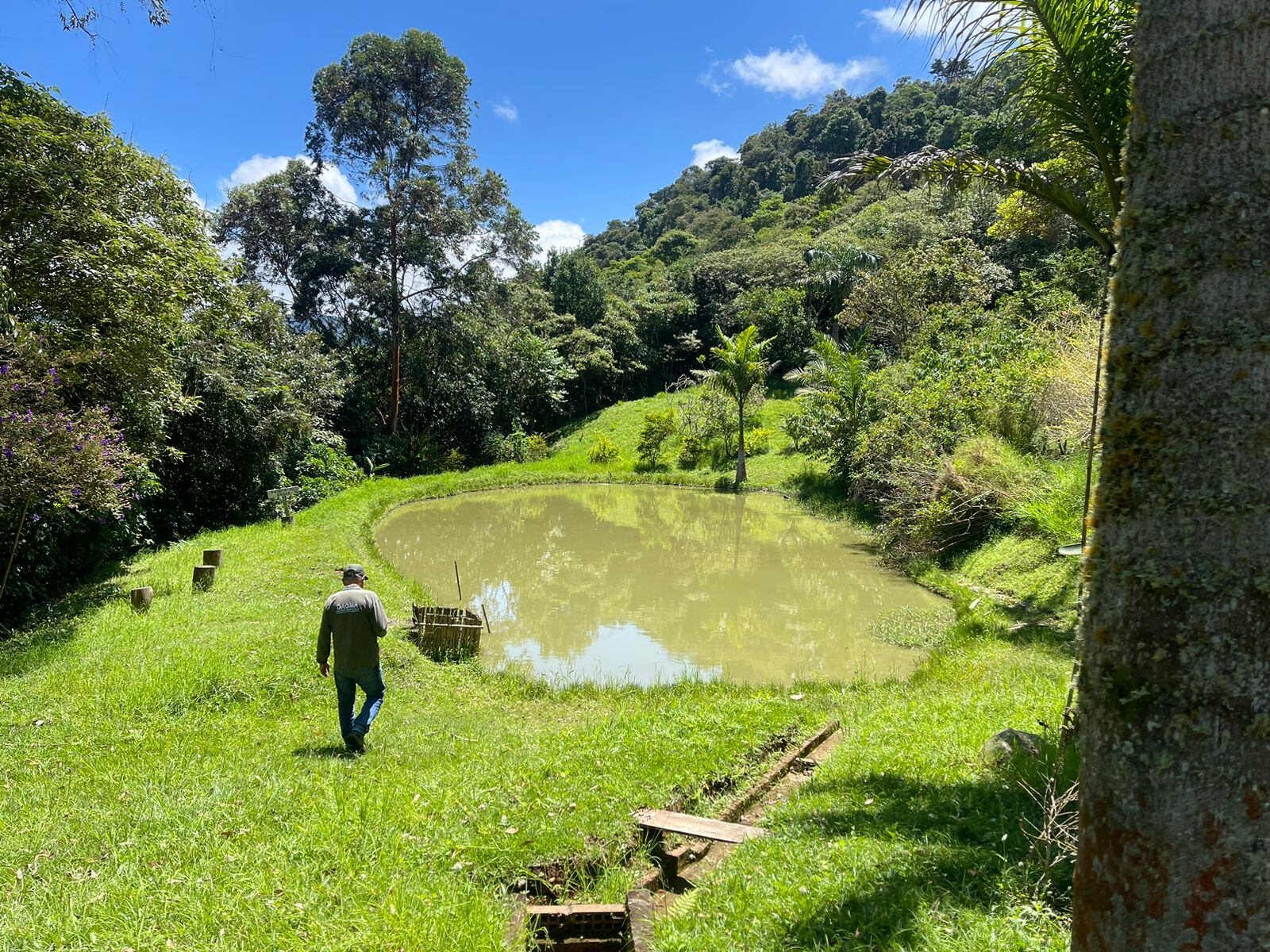 Con la implementación del incentivo PSA se busca fortalecer el ecoturismo y los negocios verdes en Cali, logrando consolidar una alternativa de sostenibilidad financiera a las acciones de conservación, gracias al impulso turístico de los Farallones.