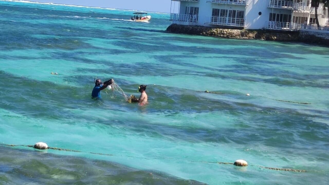 Turista encontró mallas artesanales con peces atrapados.