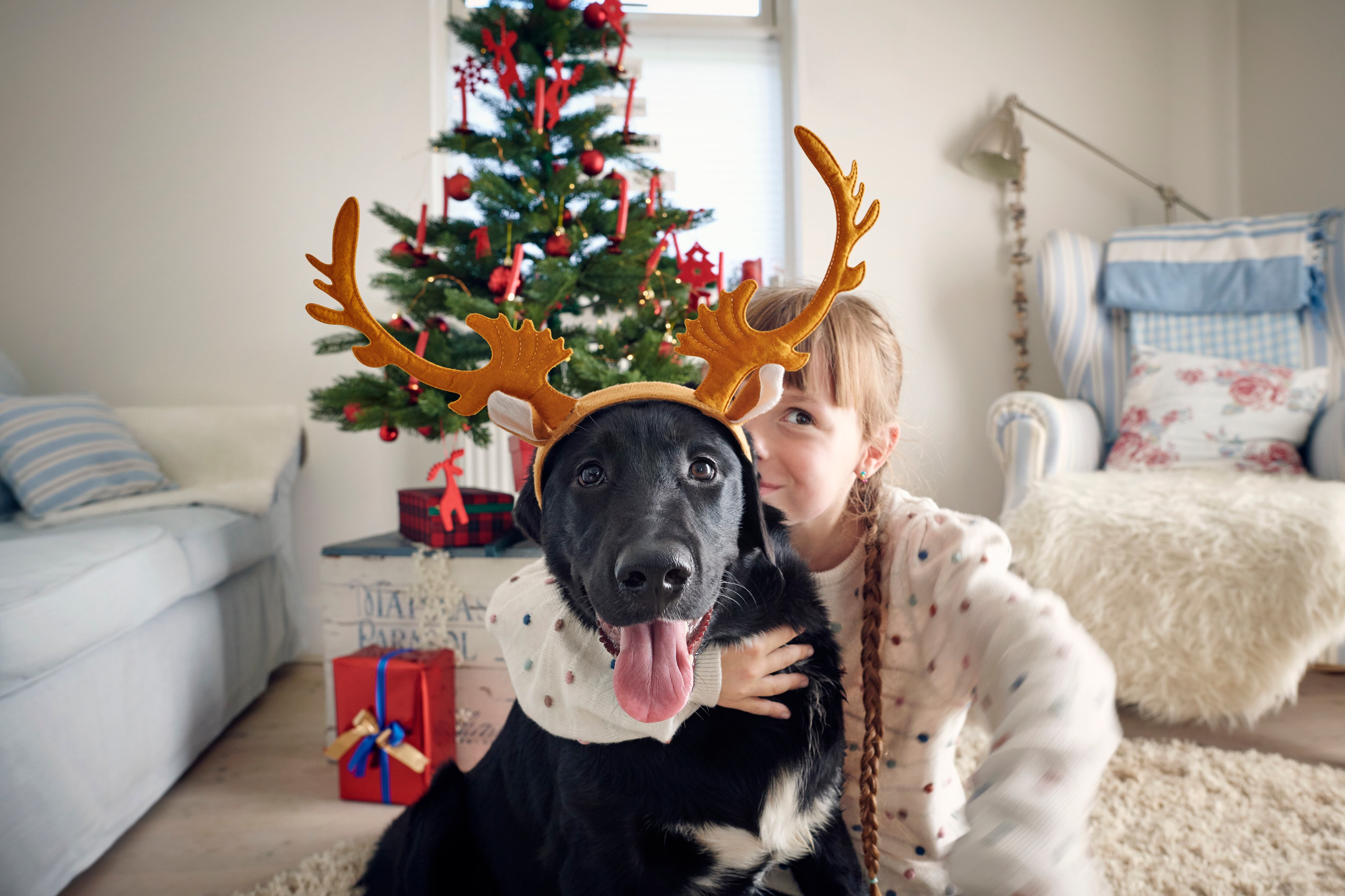 Antes de dar este tipo de regalos, es importante analizar ciertos aspectos.