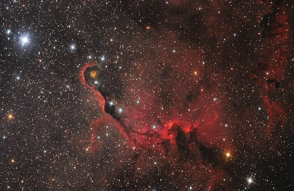 En la categoría Nuevos Talentos estuvo adelante: Trompa de elefante con Ananás, de Lóránd Fényes (Hungría).