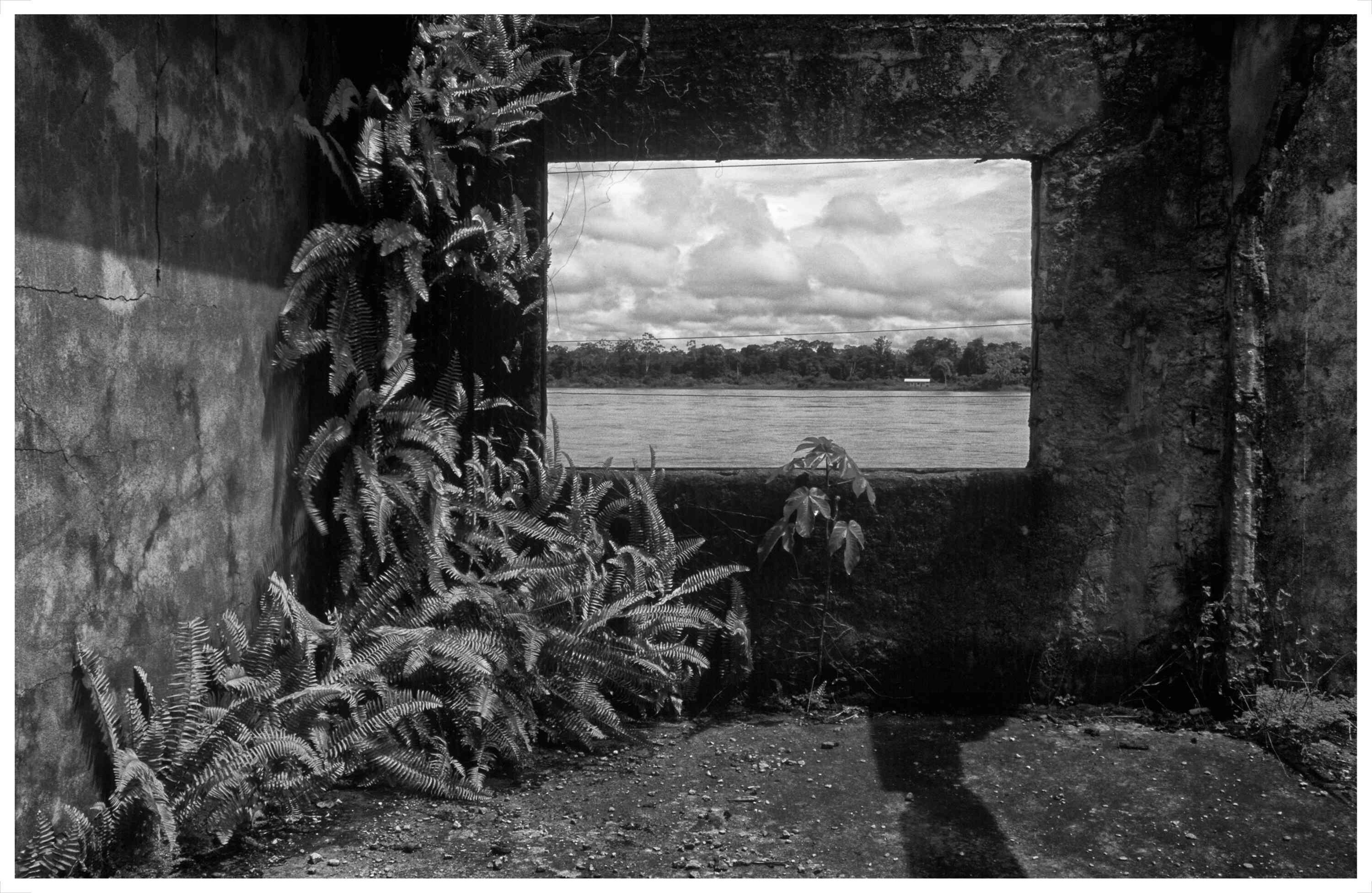 Helechos y yarumos nacieron como sinónimo de resistencia a la guerra en el antiguo comando de la policía de Bojayá en Chocó, destruido en un ataque de las Farc en abril del año 2000. Esta foto la tomé un mes después de la tragedia en la Iglesia del mismo pueblo, en junio de 2002.