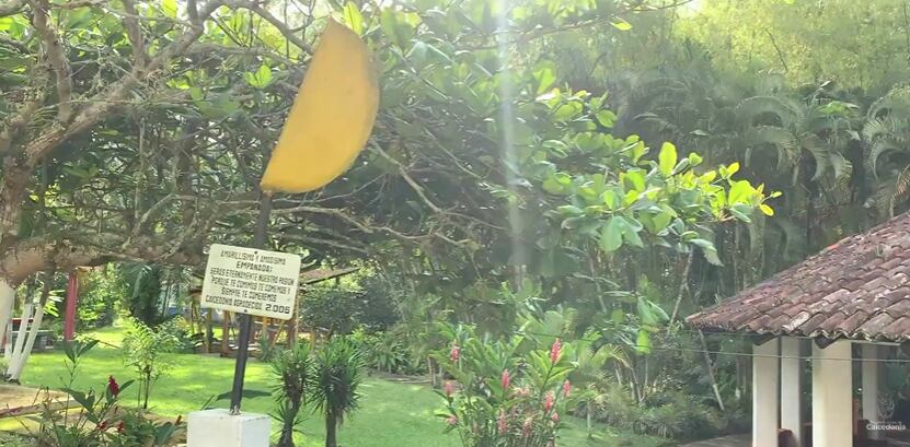 Caicedonia, Valle del Cauca