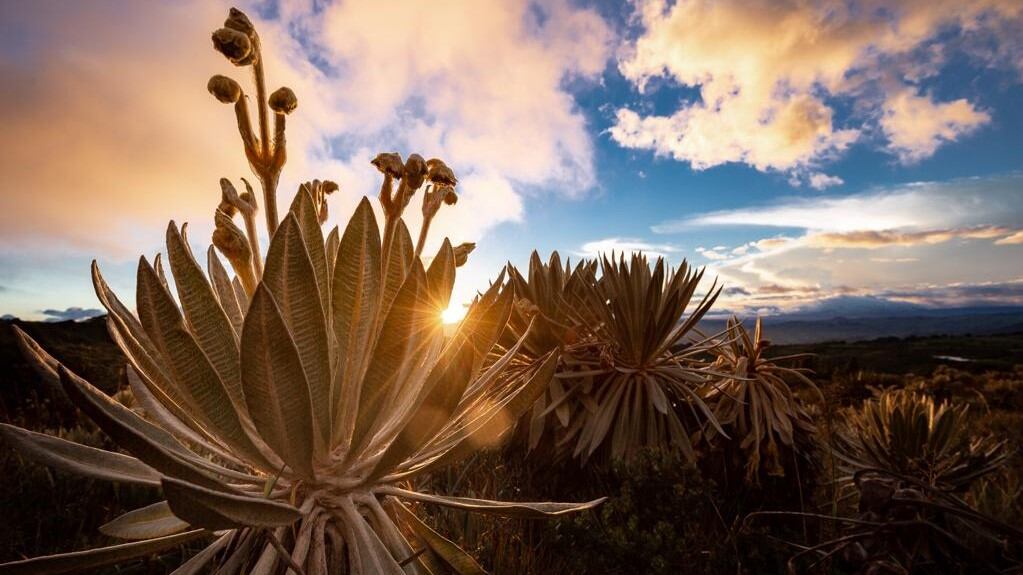 NO USAR, USO EXCLUSIVO MEJOR COLOMBIA, Especial Sostenibilidad, Bavaria