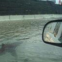 Huracán Ian arrastró a tiburón hasta calles de Florida