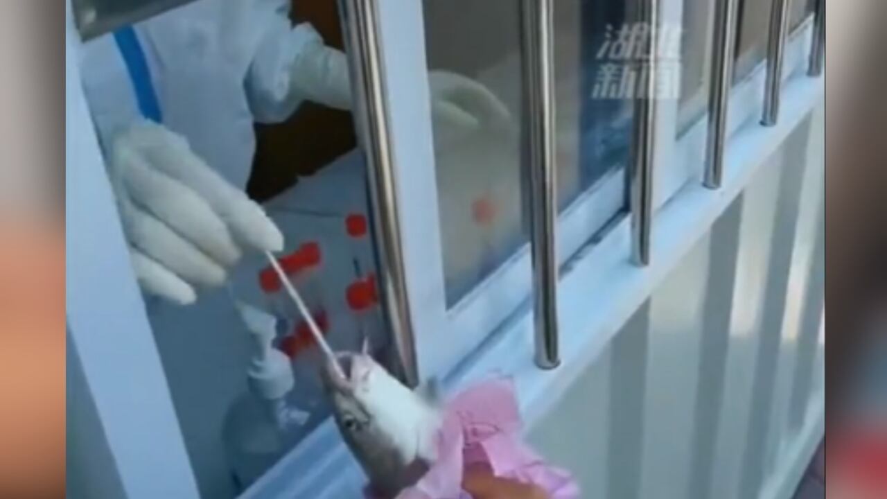 Los videos han sido polémica en redes sociales, tanto chinas como occidentales.