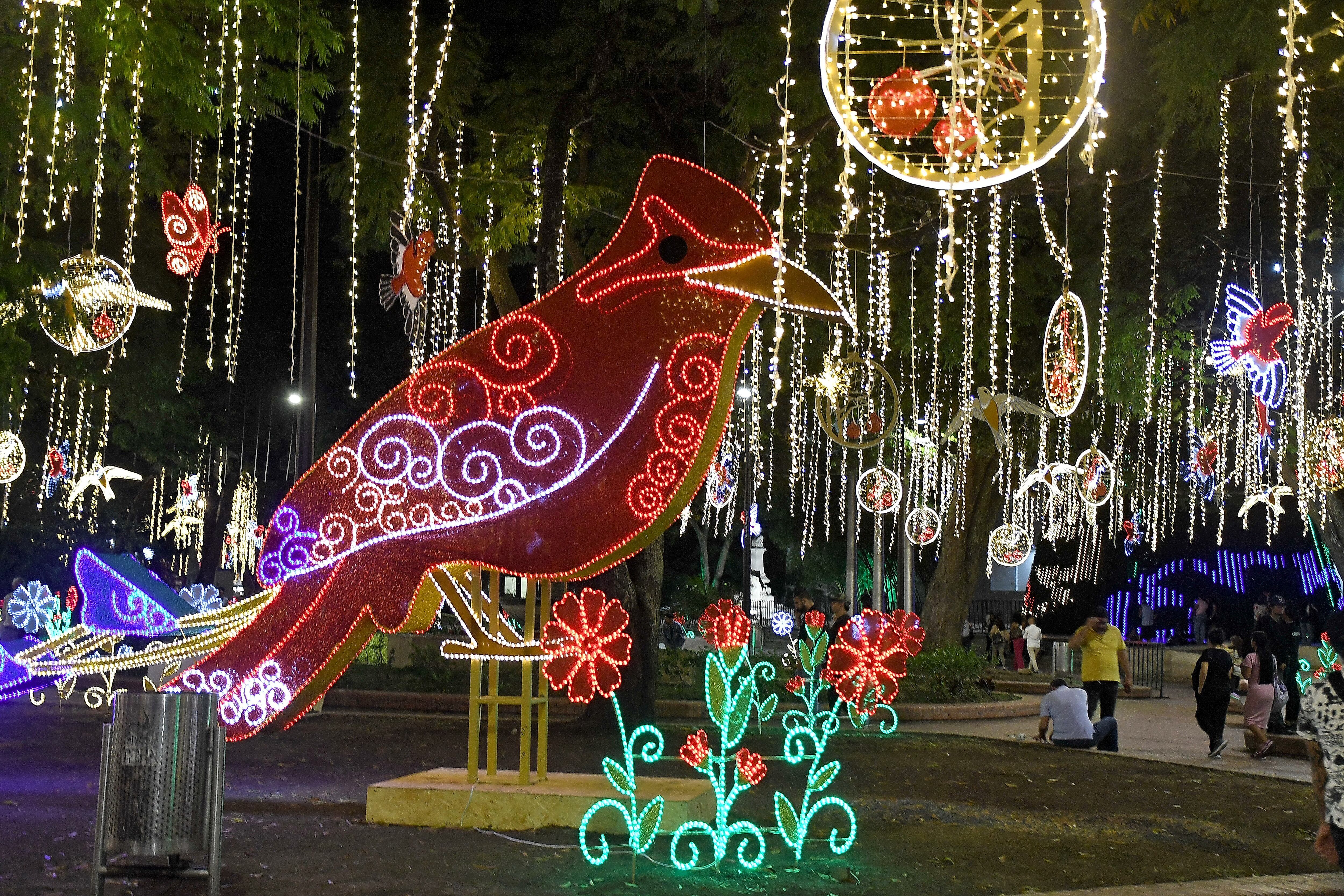 Cali: Alumbrado navideño en el bulevar del río y el Paseo Bolívar de Cali. foto José L Guzmán. El País