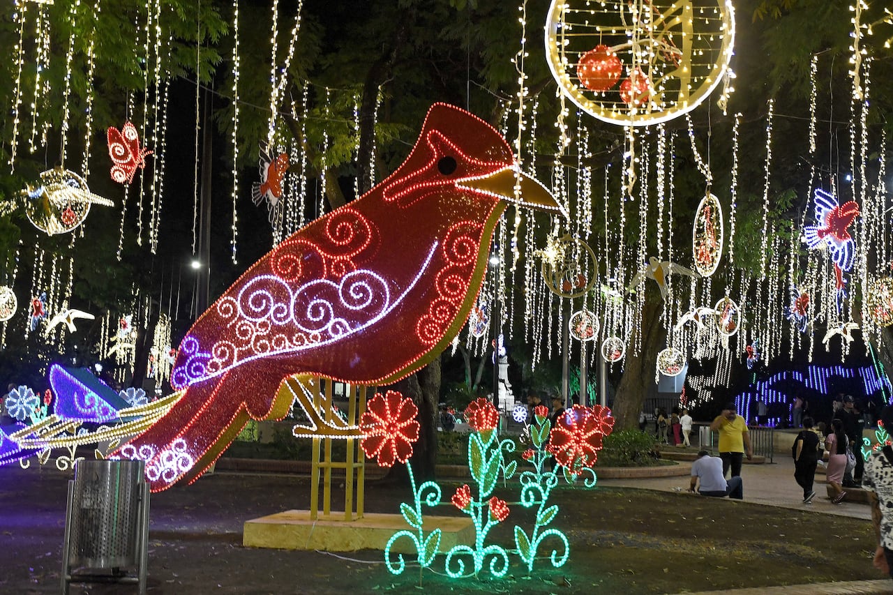 Cali: Alumbrado navideño en el bulevar del río y el Paseo Bolívar de Cali. foto José L Guzmán. El País