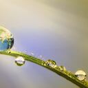 concepto de conservación: la tierra en una gota de agua