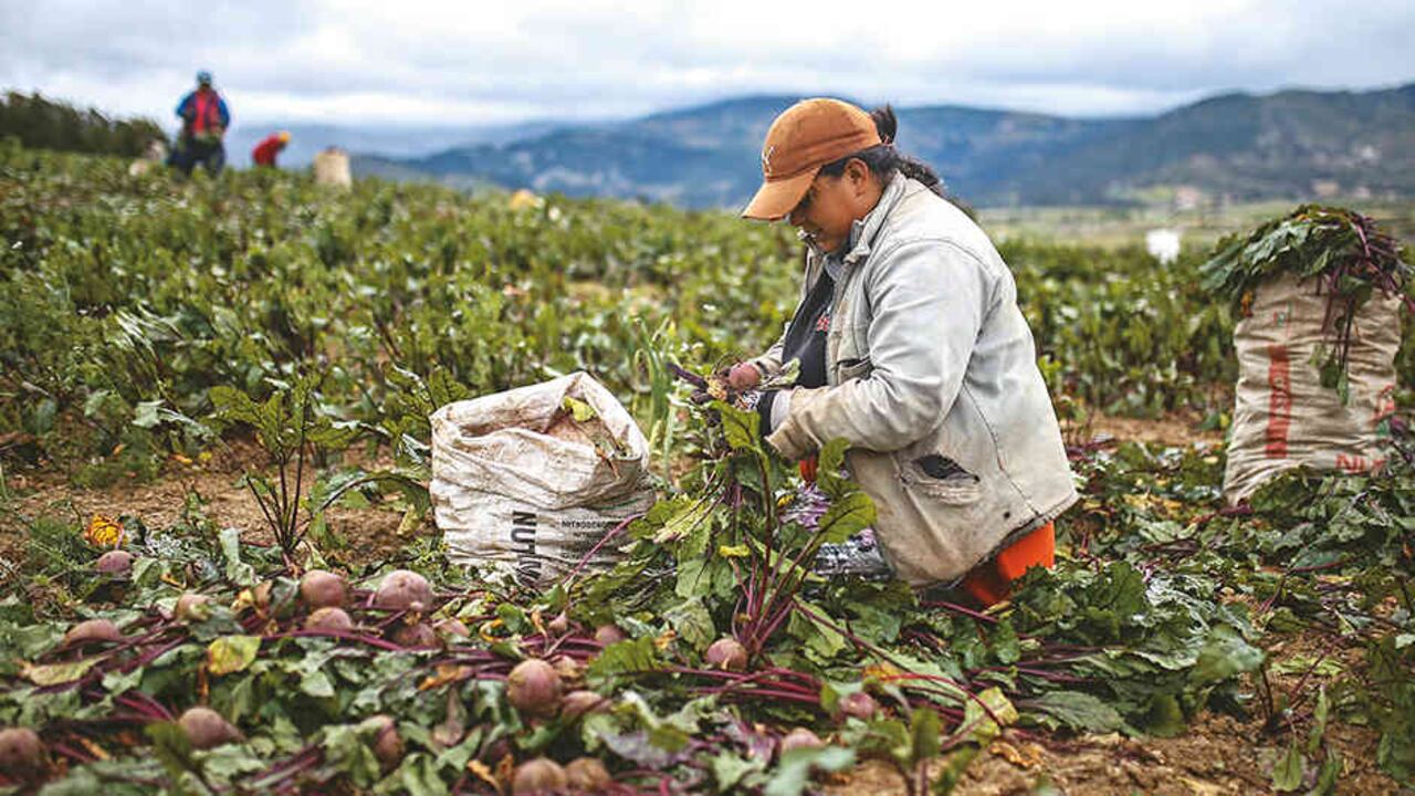 La producción minera es lo que reporta mayores réditos para el municipio.