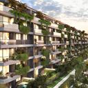 NO USAR, USO EXCLUSIVO MEJOR COLOMBIA, Morros