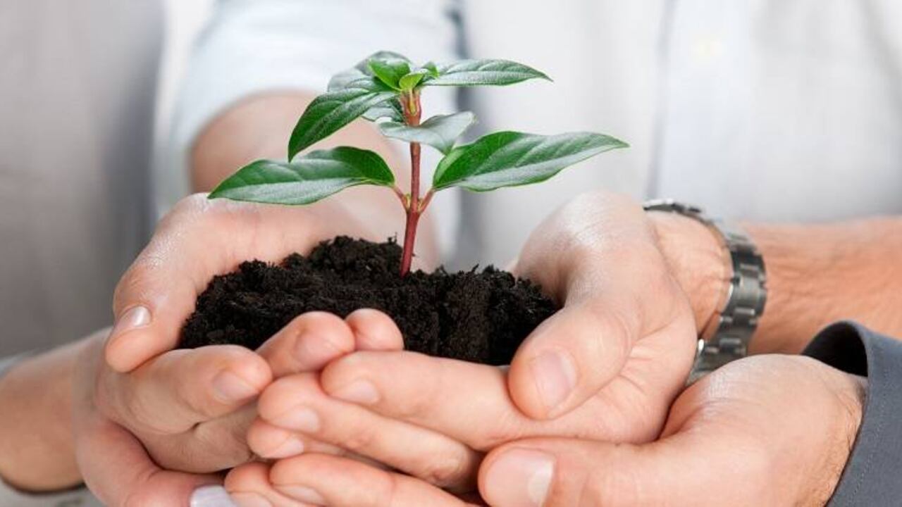 Empresas han unido esfuerzos para ayudar a damnificados en Mocoa