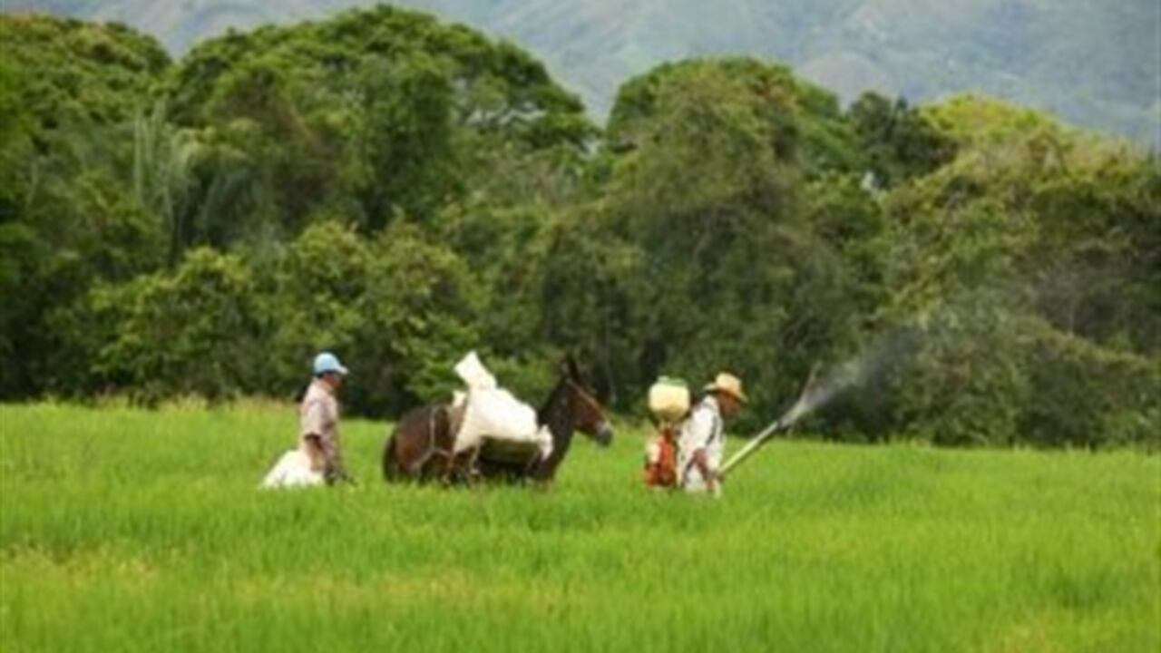 El sector agropecuario, uno de los que más requiere